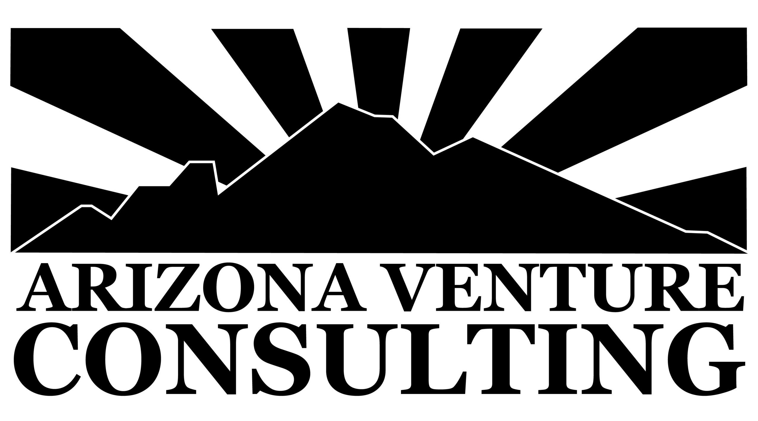 Arizona Venture Consulting